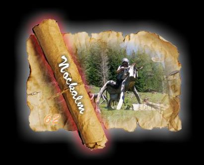 860 Nockalm